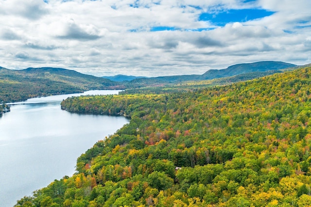 LOT3B Green Woods, Peru, ME 04290