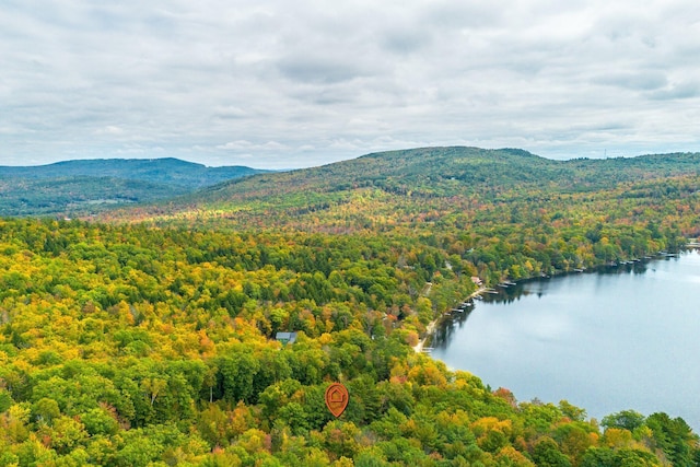 LOT3B Green Woods, Peru, ME 04290