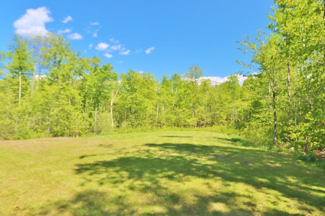 387 Nicolin Rd, Ellsworth, ME 04605 - view of green lawn