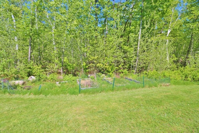 387 Nicolin Rd, Ellsworth, ME 04605 - view of grassy yard featuring a vegetable garden