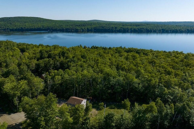 387 Nicolin Rd, Ellsworth, ME 04605 - water view featuring a heavily wooded area
