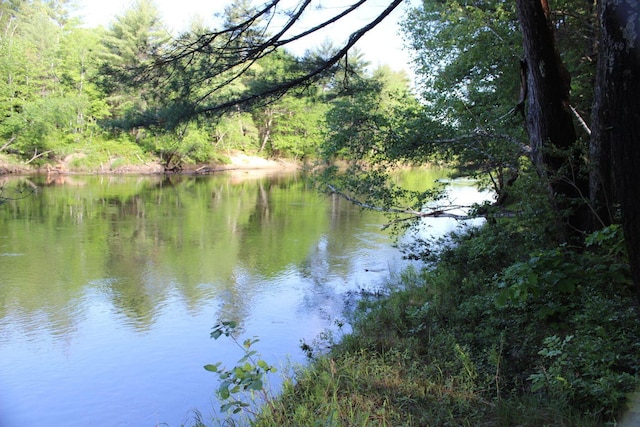 382 Riverbend Rd, Brownfield, ME 04010 - water view with a forest