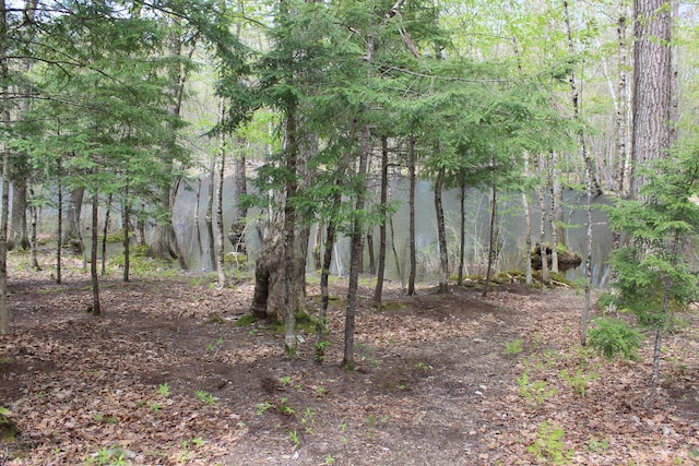 382 Riverbend Rd, Brownfield, ME 04010 - view of undeveloped land