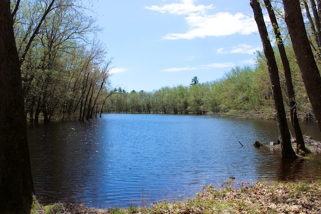382 Riverbend Rd, Brownfield, ME 04010 - water view featuring a heavily wooded area
