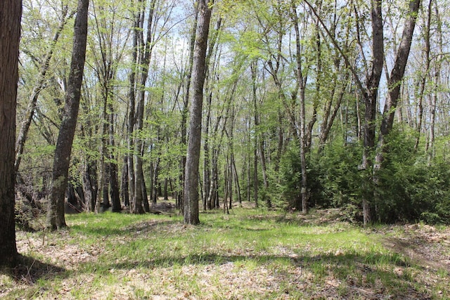 382 Riverbend Rd, Brownfield, ME 04010 - view of woods