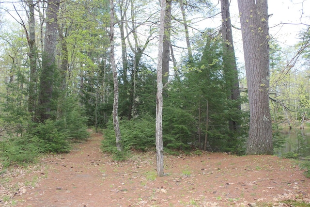 382 Riverbend Rd, Brownfield, ME 04010 - view of woods
