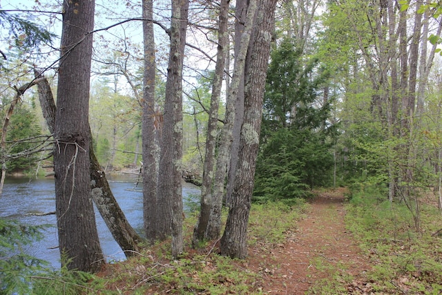 382 Riverbend Rd, Brownfield, ME 04010 - water view with a heavily wooded area