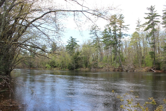 382 Riverbend Rd, Brownfield, ME 04010 - water view with a forest