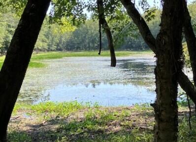 382 Riverbend Rd, Brownfield, ME 04010 - water view