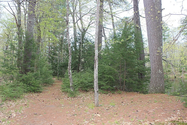 382 Riverbend Rd, Brownfield, ME 04010 - photo 41