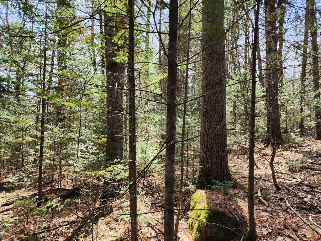 30-2 Willimantic Rd, Monson, ME 04464