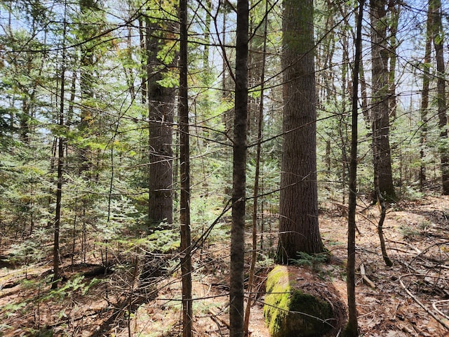 30-2 Willimantic Rd, Monson, ME 04464