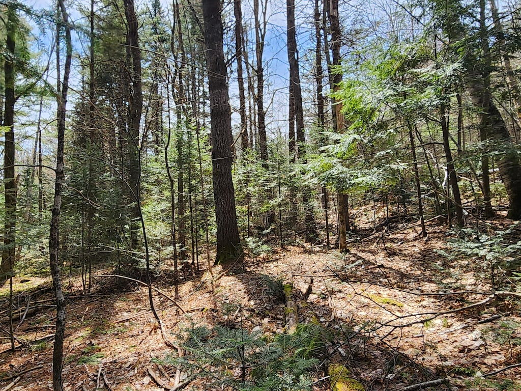 30-2 Willimantic Rd, Monson, ME 04464
