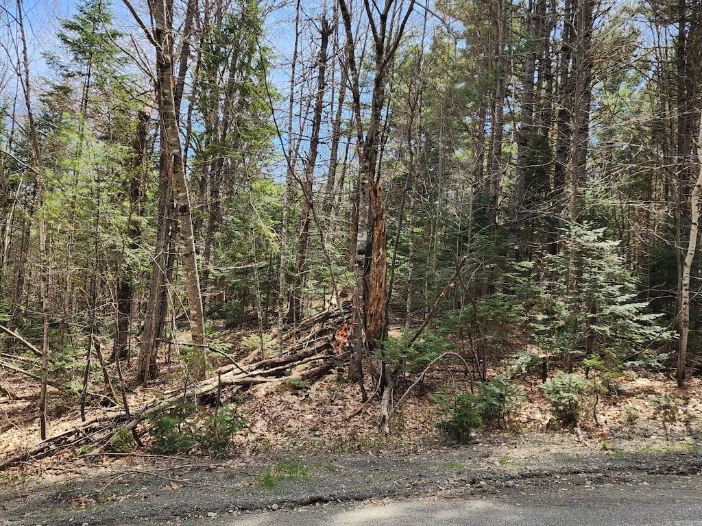 30-2 Willimantic Rd, Monson, ME 04464