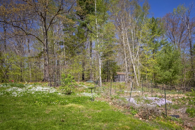 121 Heal Rd, Lincolnville, ME 04849 - view of yard with a forest view