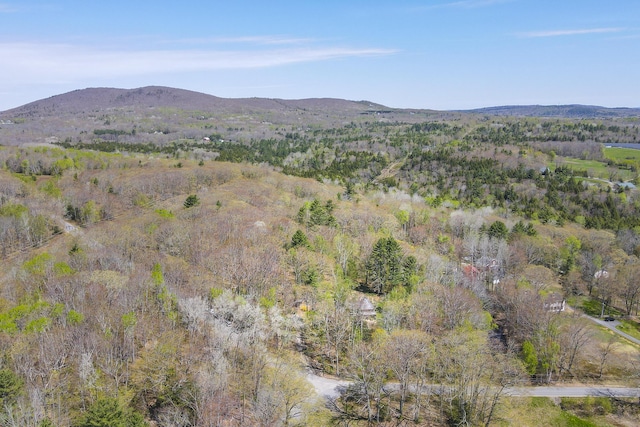 121 Heal Rd, Lincolnville, ME 04849 - view of mountain background featuring a heavily wooded area