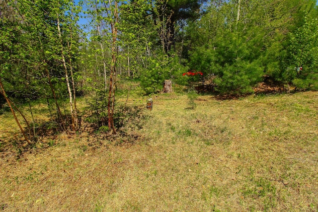 342 Spring Bridge Rd, Greenbush, ME 04418 - view of undeveloped land