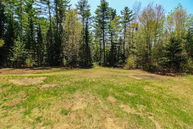 342 Spring Bridge Rd, Greenbush, ME 04418 - view of yard featuring a wooded view