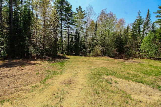 342 Spring Bridge Rd, Greenbush, ME 04418 - view of woods