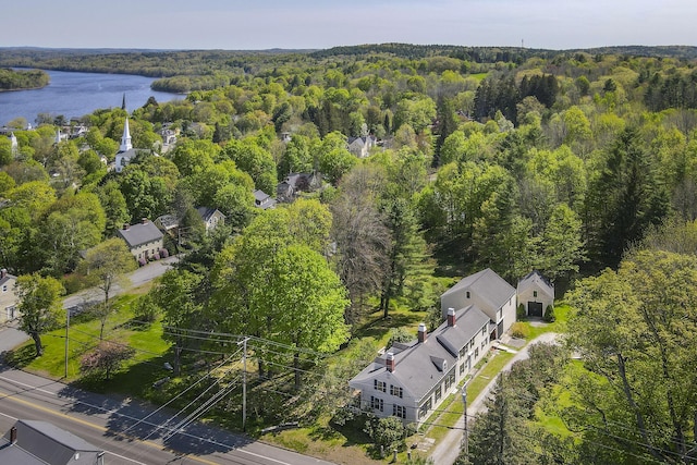 42 Winthrop St, Hallowell, ME 04347 - bird's eye view of a heavily wooded area and a nearby body of water