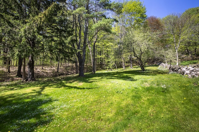 42 Winthrop St, Hallowell, ME 04347 - view of green lawn