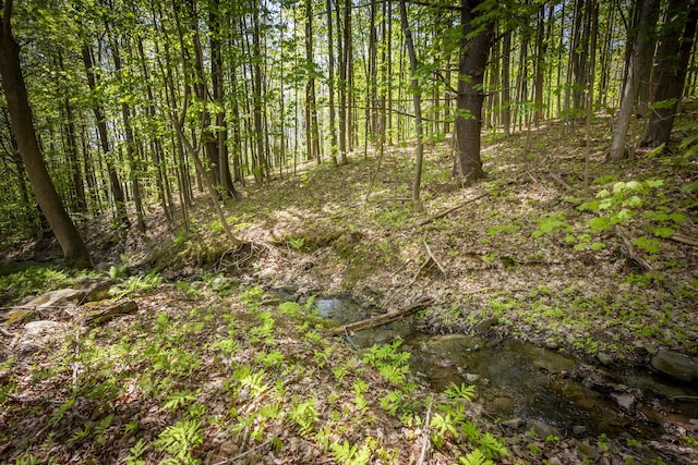 42 Winthrop St, Hallowell, ME 04347 - view of tree filled area