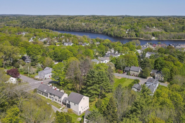 42 Winthrop St, Hallowell, ME 04347 - drone / aerial view of a forest and a large body of water