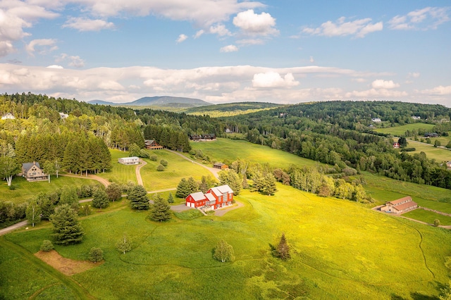39 Kendall Farm Trl, Rangeley, ME 04970 - overview of rural landscape with a heavily wooded area and mountains