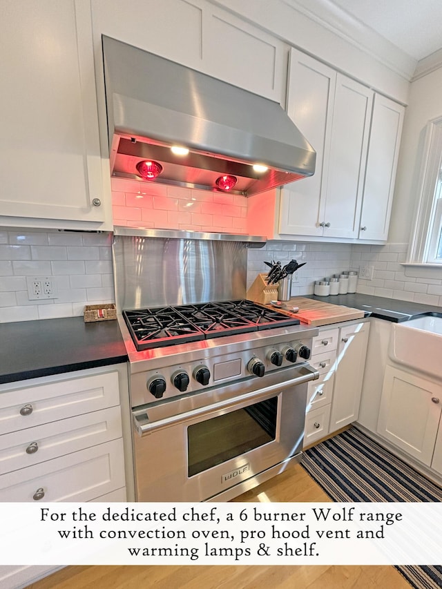kitchen with stainless steel stove, under cabinet range hood, decorative backsplash, white cabinetry, and crown molding