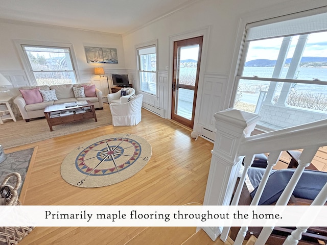living room with a decorative wall, light wood finished floors, a baseboard radiator, ornamental molding, and a wainscoted wall