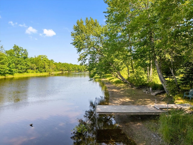 31 Hallbrook Way, Ellsworth, ME 04605 - photo 8