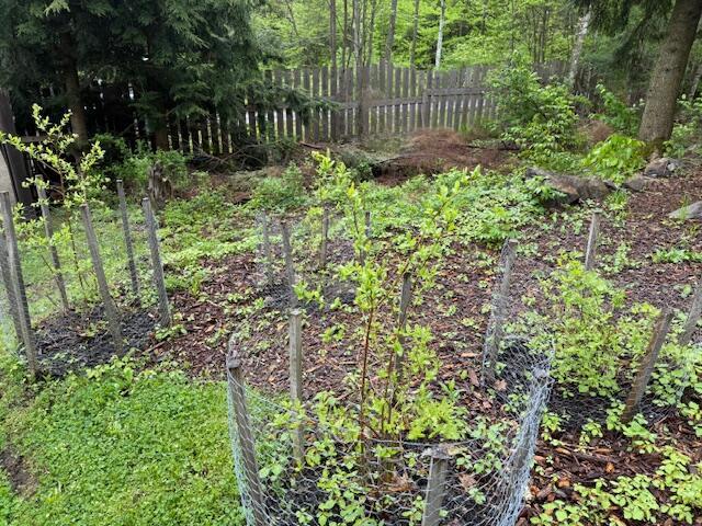 103 Fellows Ln, Winthrop, ME 04364 - view of undeveloped land