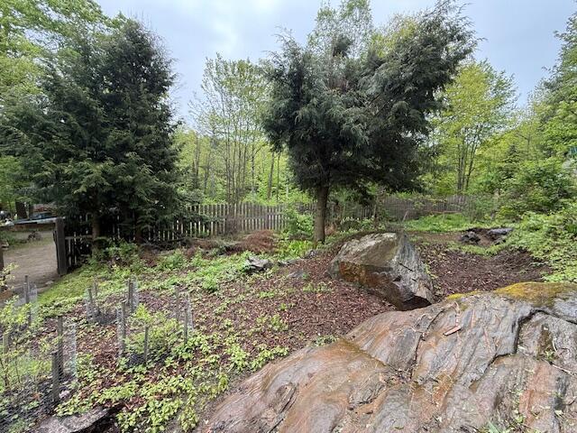 103 Fellows Ln, Winthrop, ME 04364 - view of yard with a wooded view