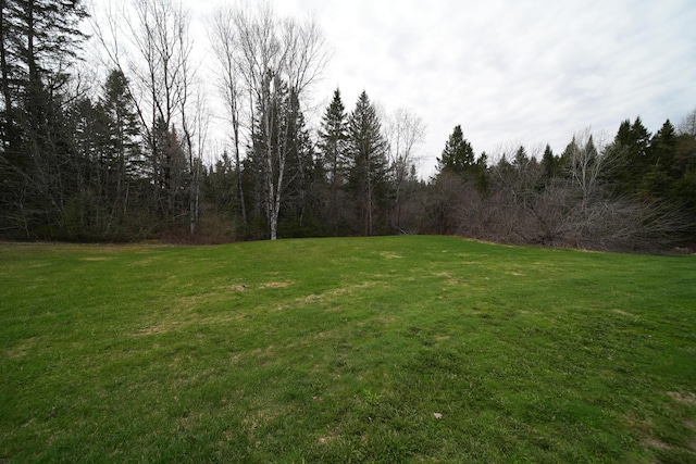 176 Smyrna Center Rd, Smyrna, ME 04780 - view of green lawn