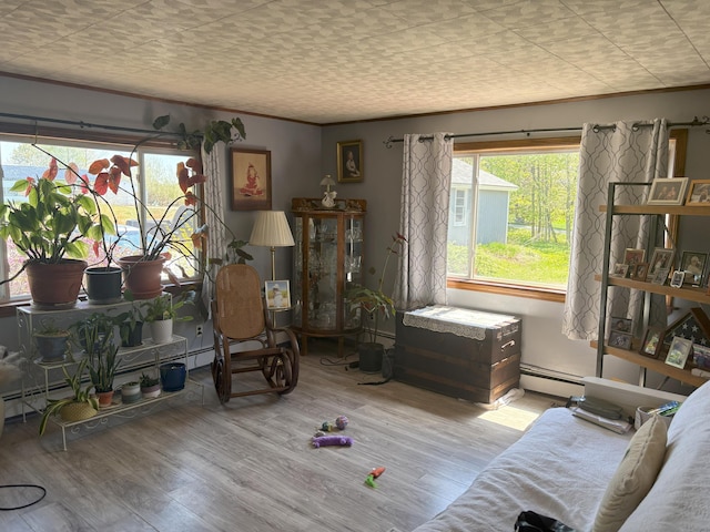 863 Sturtevant Hill Rd, Winthrop, ME 04364 - living area with a baseboard radiator and wood finished floors