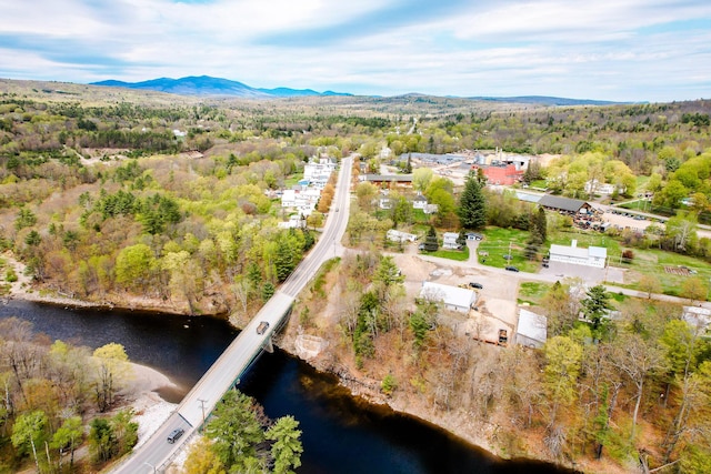 10 River St, Strong, ME 04983 - view of property location featuring a heavily wooded area and a water and mountain view