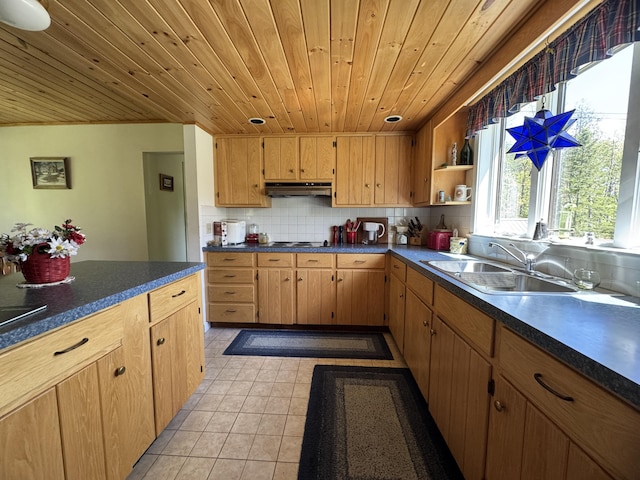 898 Sebec Village Rd, Sebec, ME 04481 - kitchen featuring a sink, wood ceiling, under cabinet range hood, dark countertops, and stovetop