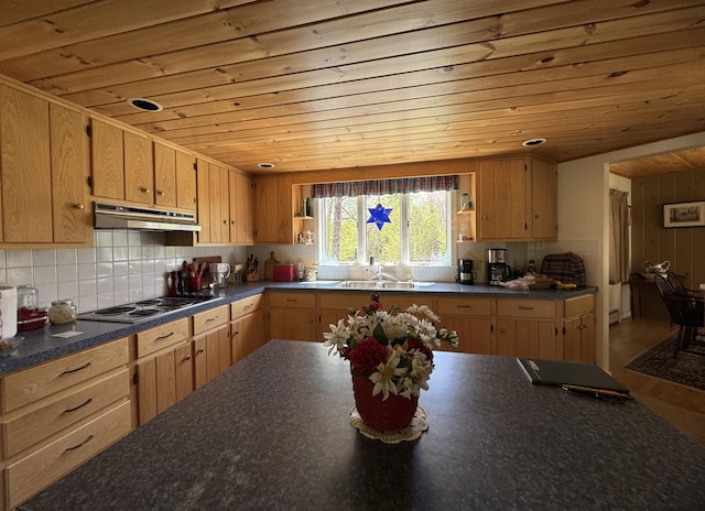 898 Sebec Village Rd, Sebec, ME 04481 - kitchen featuring wooden ceiling, a sink, dark countertops, open shelves, and electric stovetop