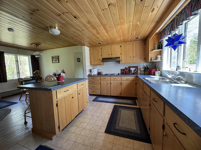 898 Sebec Village Rd, Sebec, ME 04481 - kitchen featuring wood ceiling, dark countertops, a baseboard heating unit, a sink, and open shelves