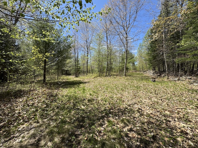 898 Sebec Village Rd, Sebec, ME 04481 - view of woods