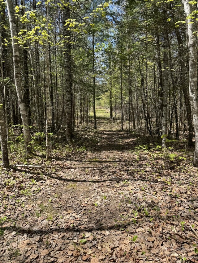 898 Sebec Village Rd, Sebec, ME 04481 - view of woods