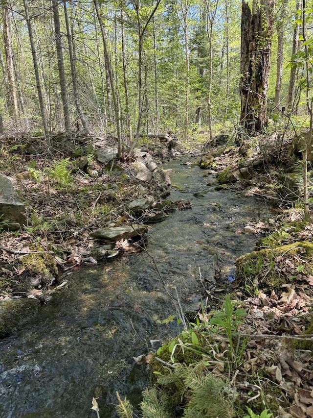 898 Sebec Village Rd, Sebec, ME 04481 - view of local wilderness