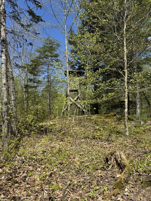 898 Sebec Village Rd, Sebec, ME 04481 - view of undeveloped land