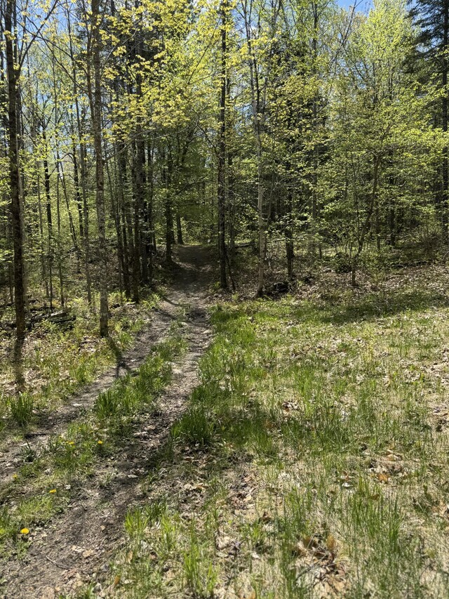 898 Sebec Village Rd, Sebec, ME 04481 - view of nature