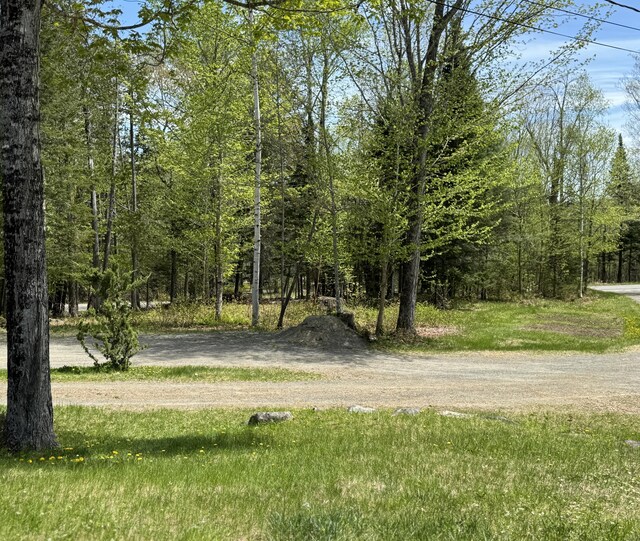 898 Sebec Village Rd, Sebec, ME 04481 - view of property's community with a forest view