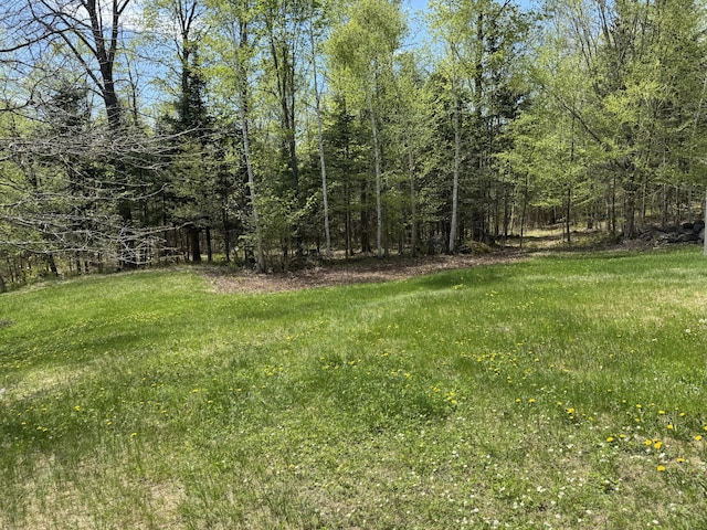 898 Sebec Village Rd, Sebec, ME 04481 - view of yard
