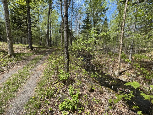898 Sebec Village Rd, Sebec, ME 04481 - view of street featuring a wooded view