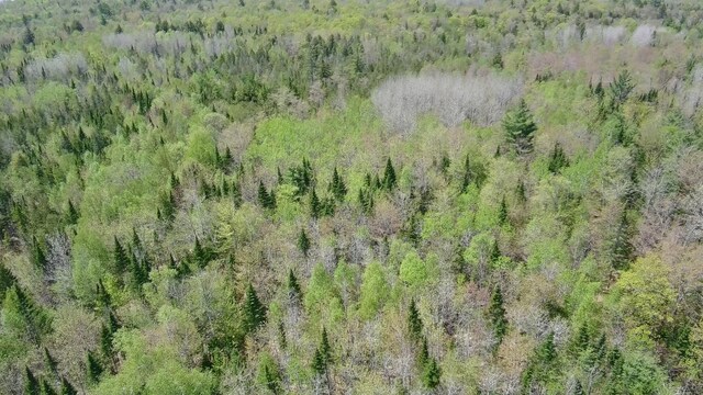 898 Sebec Village Rd, Sebec, ME 04481 - bird's eye view of a heavily wooded area