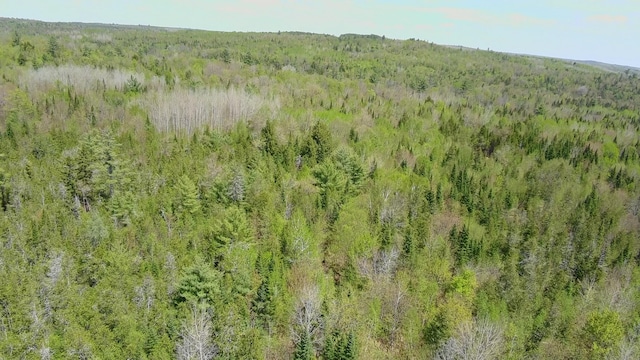 898 Sebec Village Rd, Sebec, ME 04481 - view of tree filled area