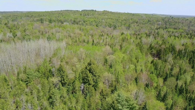 898 Sebec Village Rd, Sebec, ME 04481 - view of woods